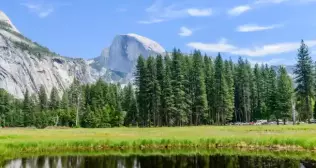 Your Gateway to Discovering the Wonders of Yosemite National Park